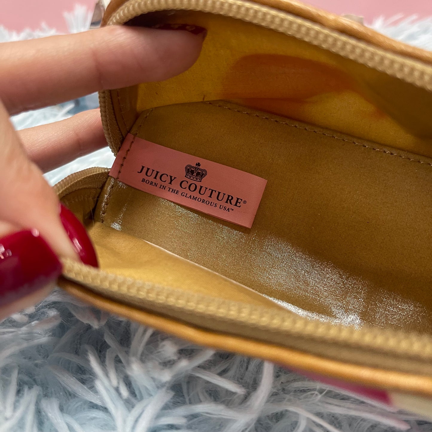 Vintage Juicy Couture Makeup Case